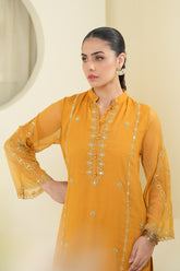 2 Piece Chiffon Suit (FR1041)